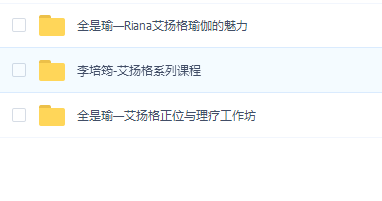 艾杨格瑜伽精进工作坊全集