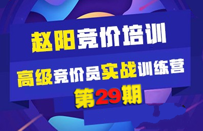 厚昌赵阳sem29期竞价教程培训学院视频课程