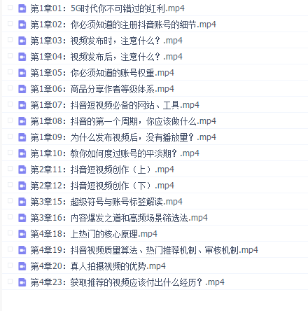 火焱社电商抖音VIP运营班