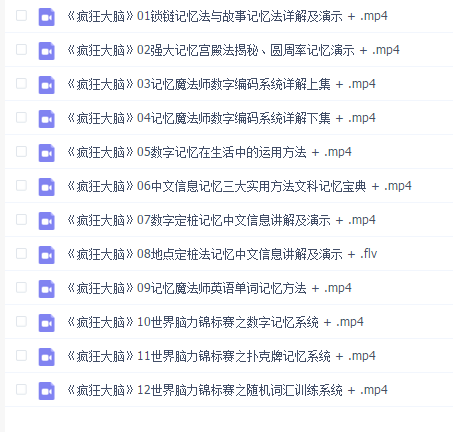 袁文魁 记忆魔法师(疯狂大脑共12集)