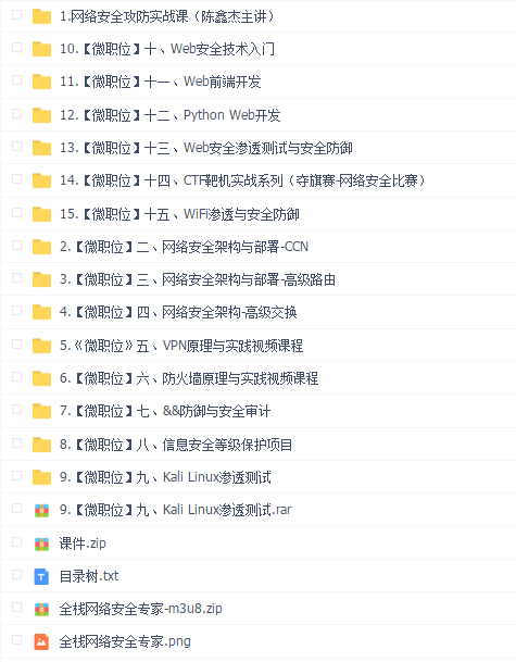 全栈网络安全专家
