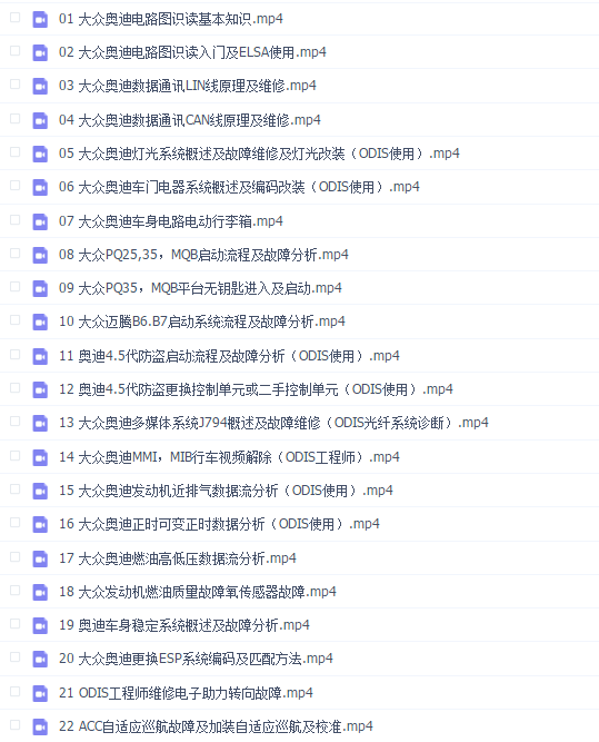 易学通大师班2021大众奥迪专修04( 16G)