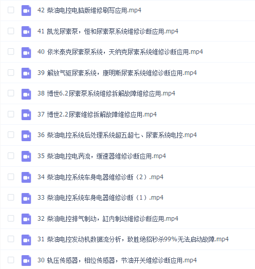 易学通大师班2021柴油电喷专修09( 70G)