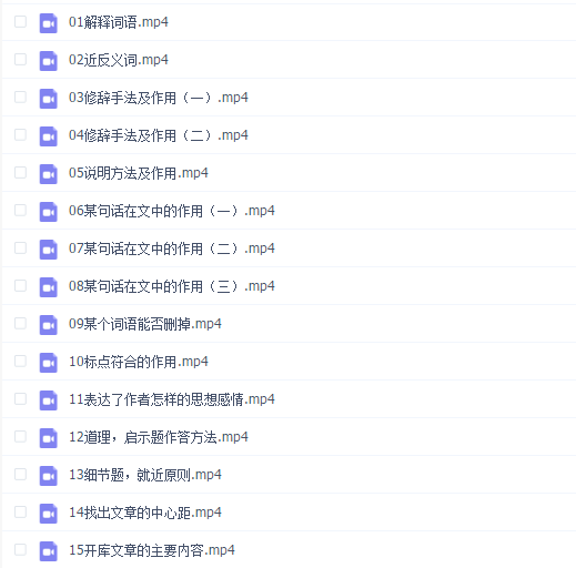 文老师《抖音文老师的阅读理解课》