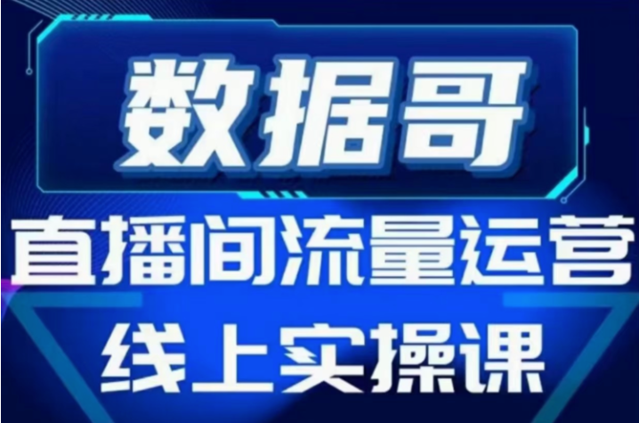 数据哥流量运营线上实操课