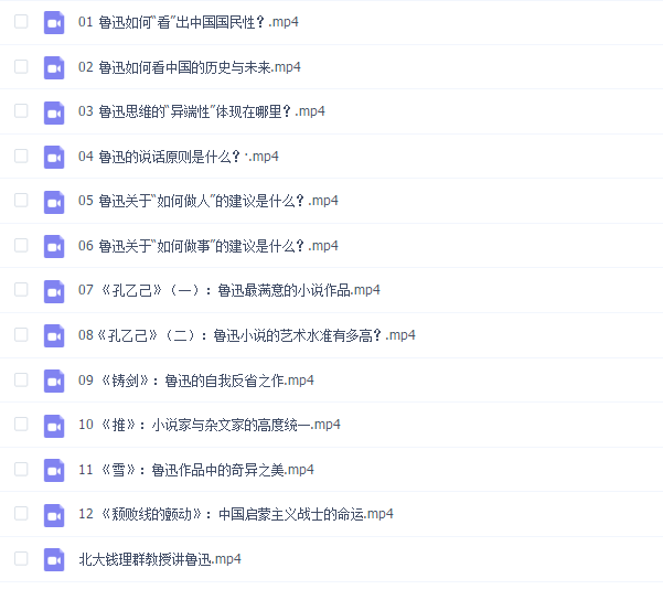 北大钱理群教授讲鲁迅(完结)