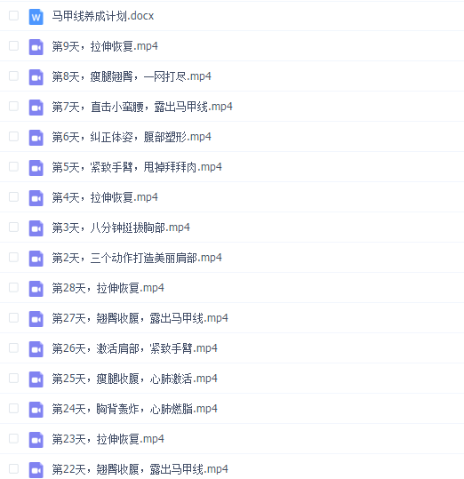28天马甲线养成计划 基础(lulu)