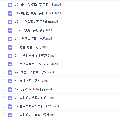 2022中视频变现系统课
