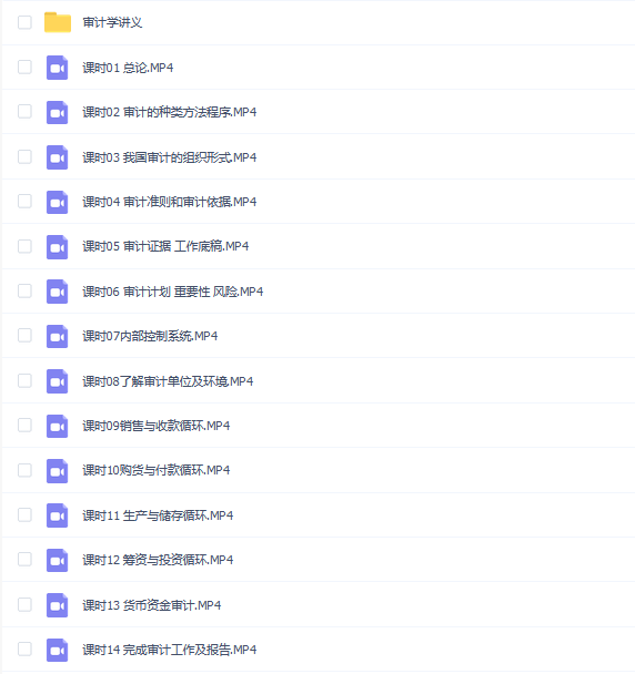 【审计学速成】审计学速成期末考试不挂科期末突击课