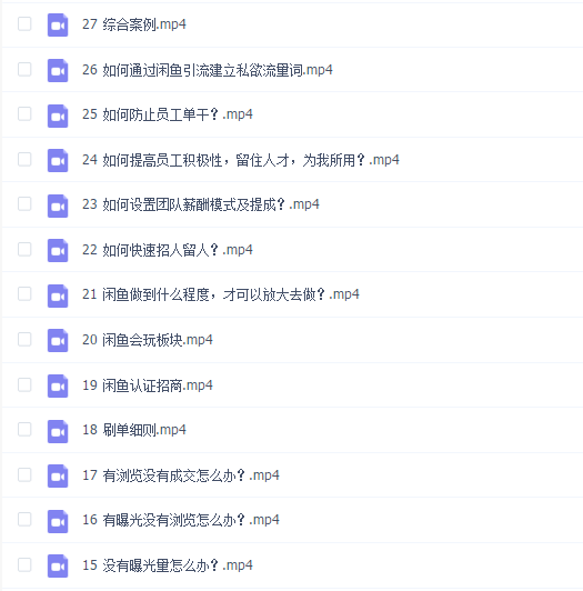 翼牛学堂闲鱼精英特训营进阶班,月光族上班族的闲鱼赚钱课程【视频课程】