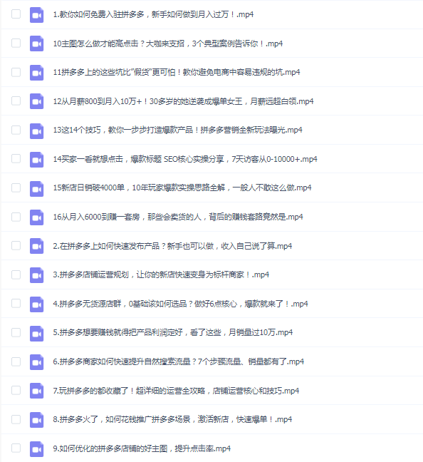 拼多多爆款实战攻略:中小卖家也能做出爆款,日销10000单,月入10万+