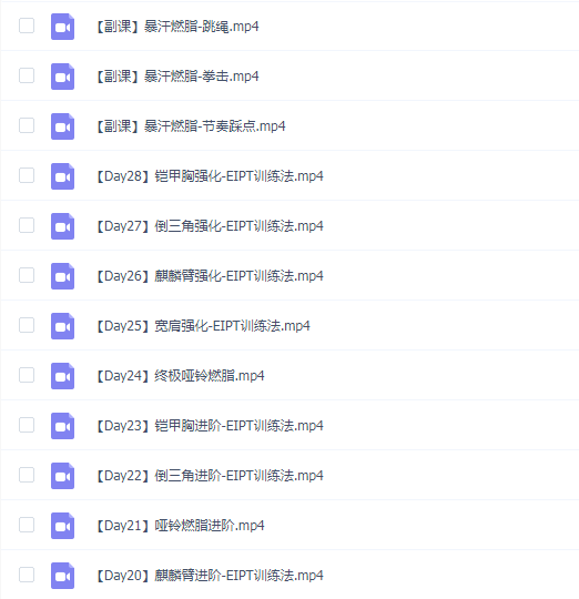 B站Erik埃里克28天增肌减脂,居家打造黄金比例身材