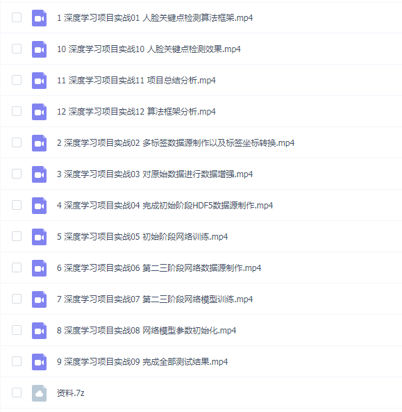 大数据:深度学习项目实战-关键点定位视频课程