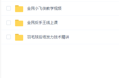 【刘辉羽毛球】全套