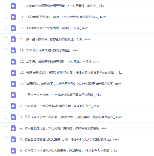 沈志坤 民法典时代的老板法律风险课 3.0 17集视频