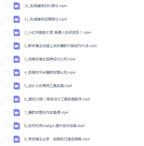 自媒体博主必修课:小红书搞钱大赏,教你打造爆款,如何搞钱(11节课)