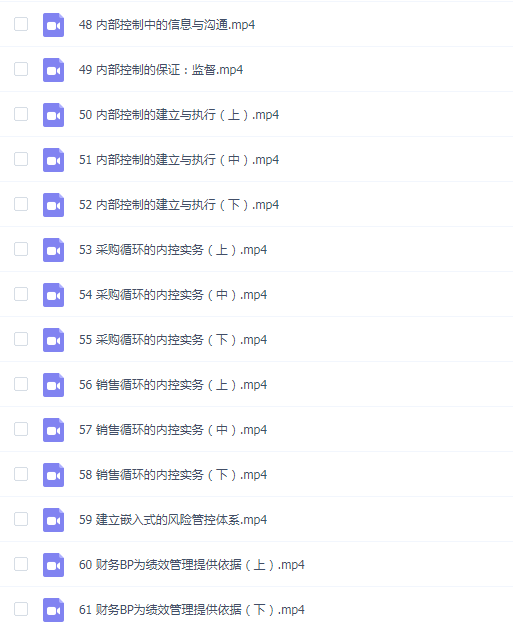 安越姚敏凤 业财融合下的财务BP实战训练营