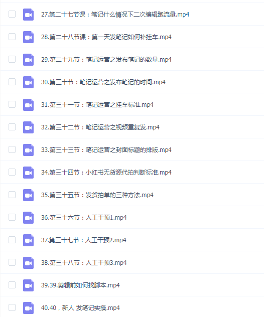 爽儿老师小红书电商高级运营课程
