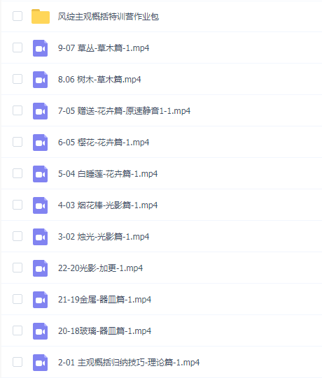 风绽主观概括特训营