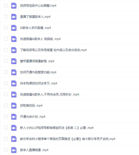 伍老师Ai数字人快速剪辑制作以及变现视频课