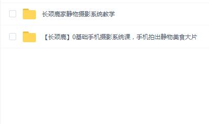 长颈鹿摄影合集