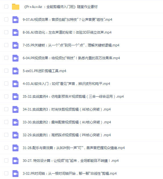 Nenly同学-PR+AU+AE全能剪辑师入门班