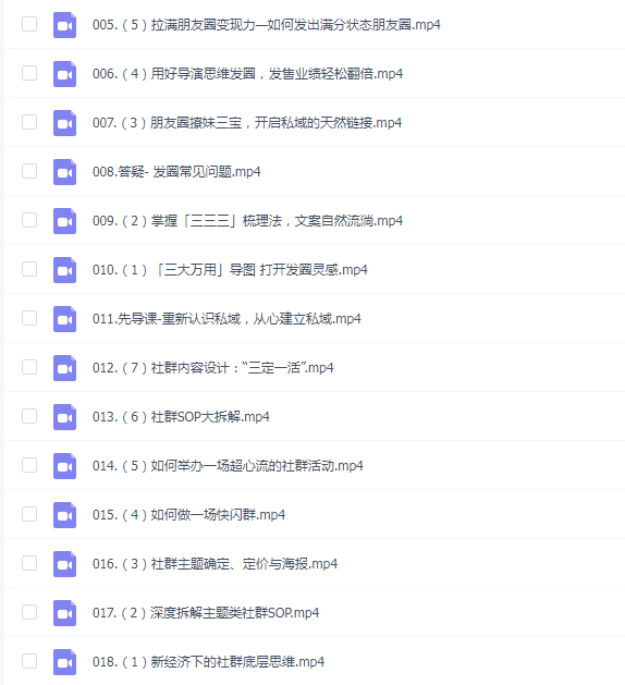 嘴嘴私域IP变现高手课