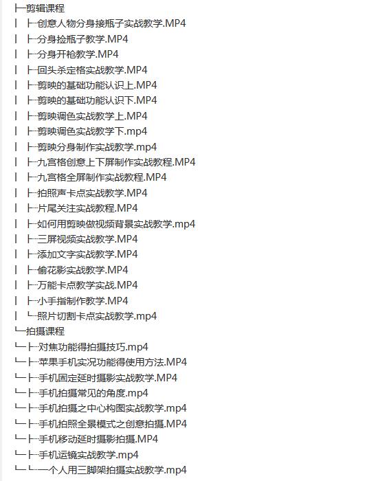 冯朋摄影剪辑课程: 260W粉丝大佬带你玩视频剪辑+拍摄