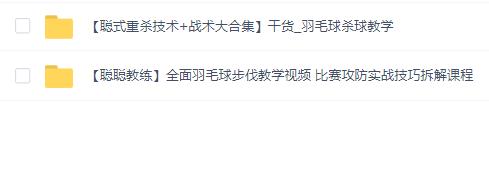【聪聪】羽毛球-2套(全面步伐+干货杀球)